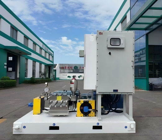 Elephant DS-70 Chemical Injection Pump Skid in Trinidad and Tobago